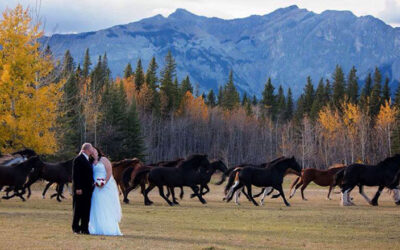 Make it a Destination Wedding in Calgary and Banff
