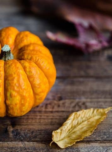 Pumpkin and a leaf Thanksgiving dinner theme